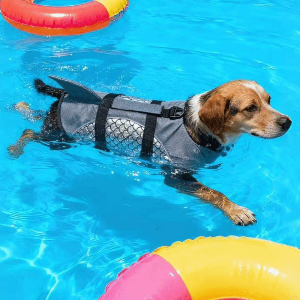 Life Jacket Buoyancy - Strong Buoyancy Dog Life Jacket Shiny