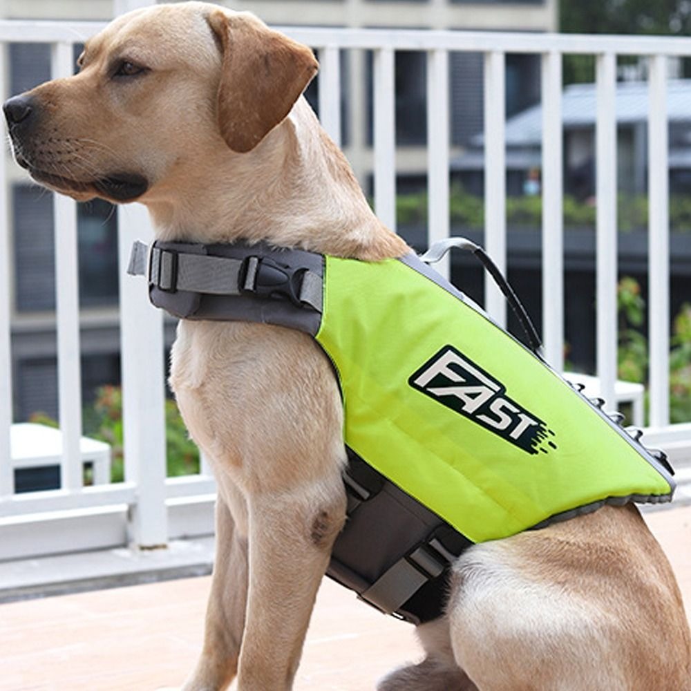 Adjustable Pet Swimming Life J - đánh giá và giá Life Jacket Buoyancy