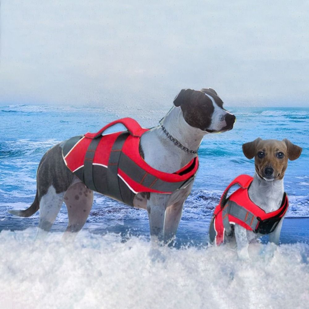 Reflective Dog Life Jacket Adj - đánh giá và giá Life Jacket Buoyancy