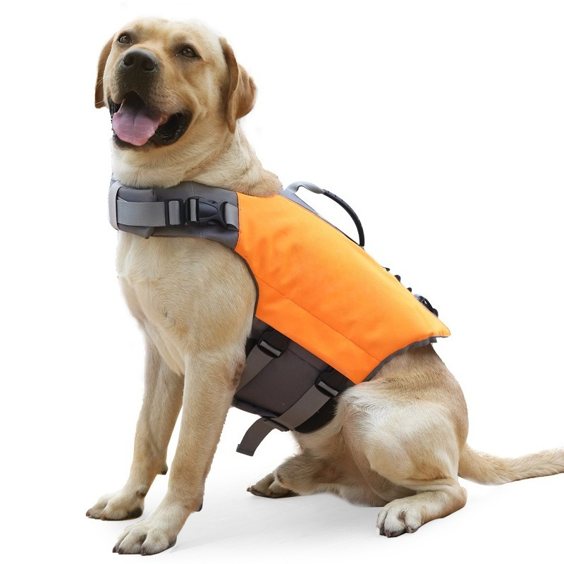 Dog Life Jacket Floating Safet - đánh giá và giá Life Jacket Buoyancy