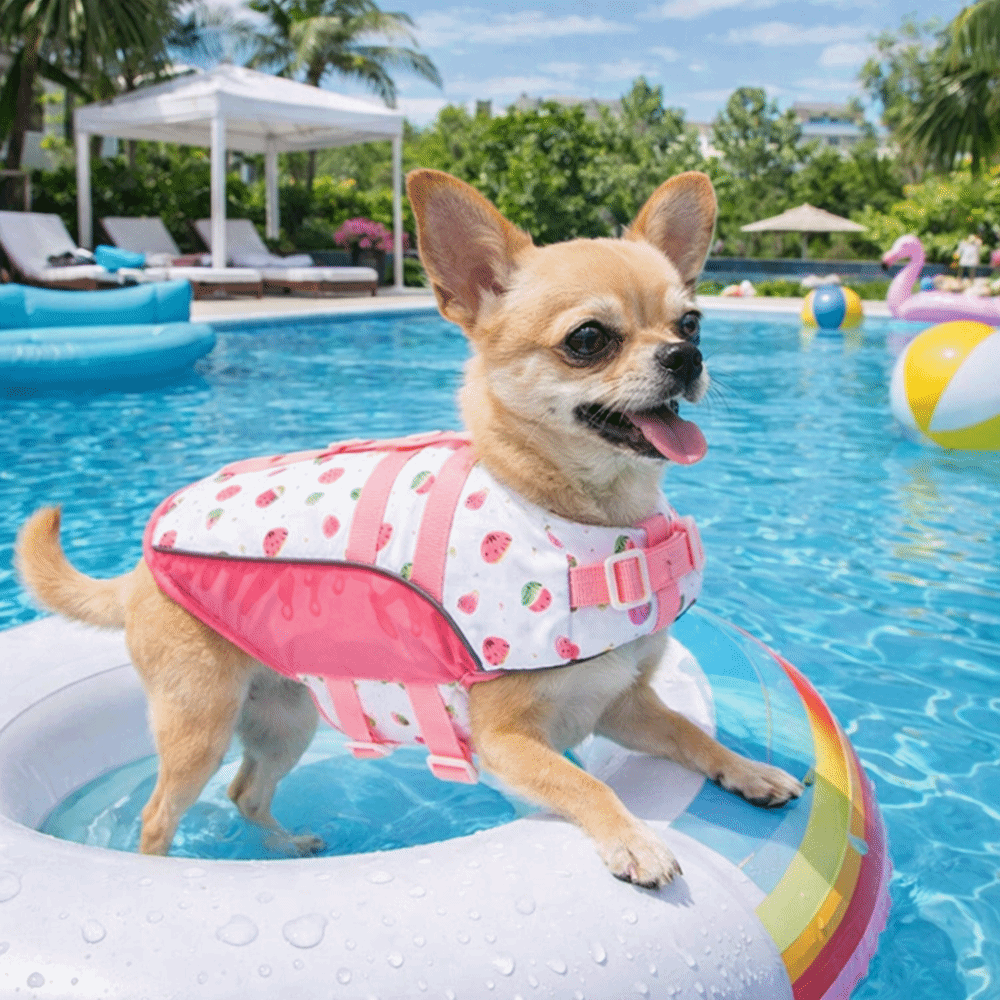 Adjustable Dog Life Jacket Hig - đánh giá và giá Life Jacket Buoyancy